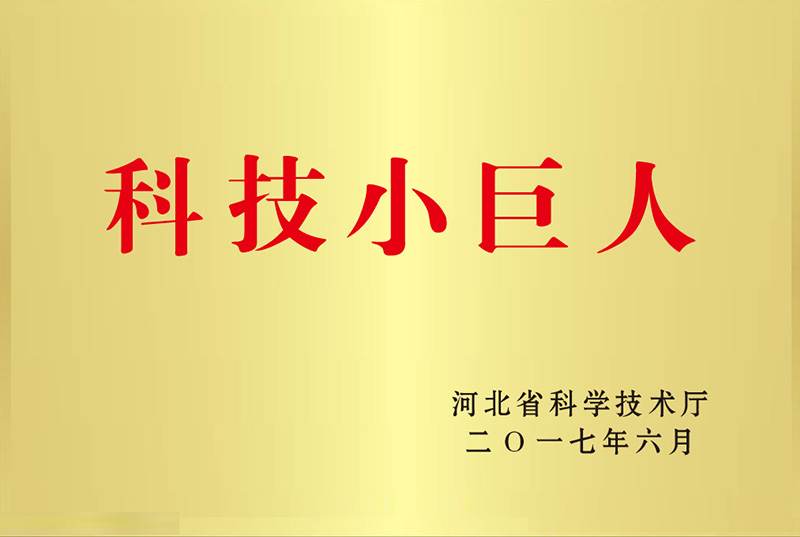 科技小巨人